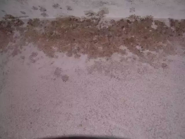 膩?zhàn)臃鄣?大常見問(wèn)題及解決辦法